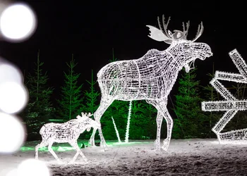 Lichterglanz Spektakel Eis Greisslerei