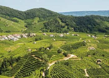 Grappa & Prosecco