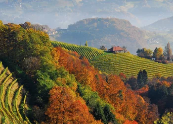 Grappa & Prosecco