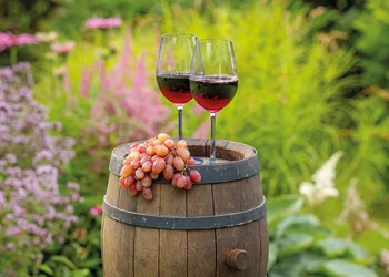 Blütenzauber & Weingenuss im Elsass